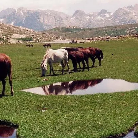 U Melu Grand T3 Rouge En Rez De Jardin 티우시아