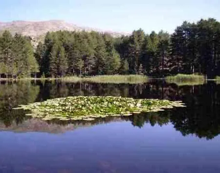 U Melu Grand T3 Rouge En Rez De Jardin Apartamento