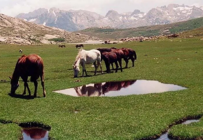 U Melu Grand T3 Rouge En Rez De Jardin Tiuccia