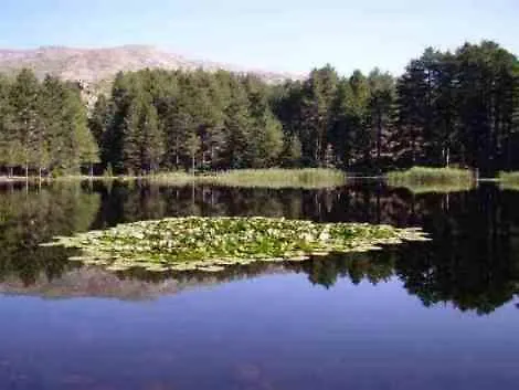 U Melu Grand T3 Rouge En Rez De Jardin Apartman